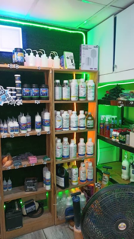 Foto Doctor Antiplaga 3000 C.A. 2