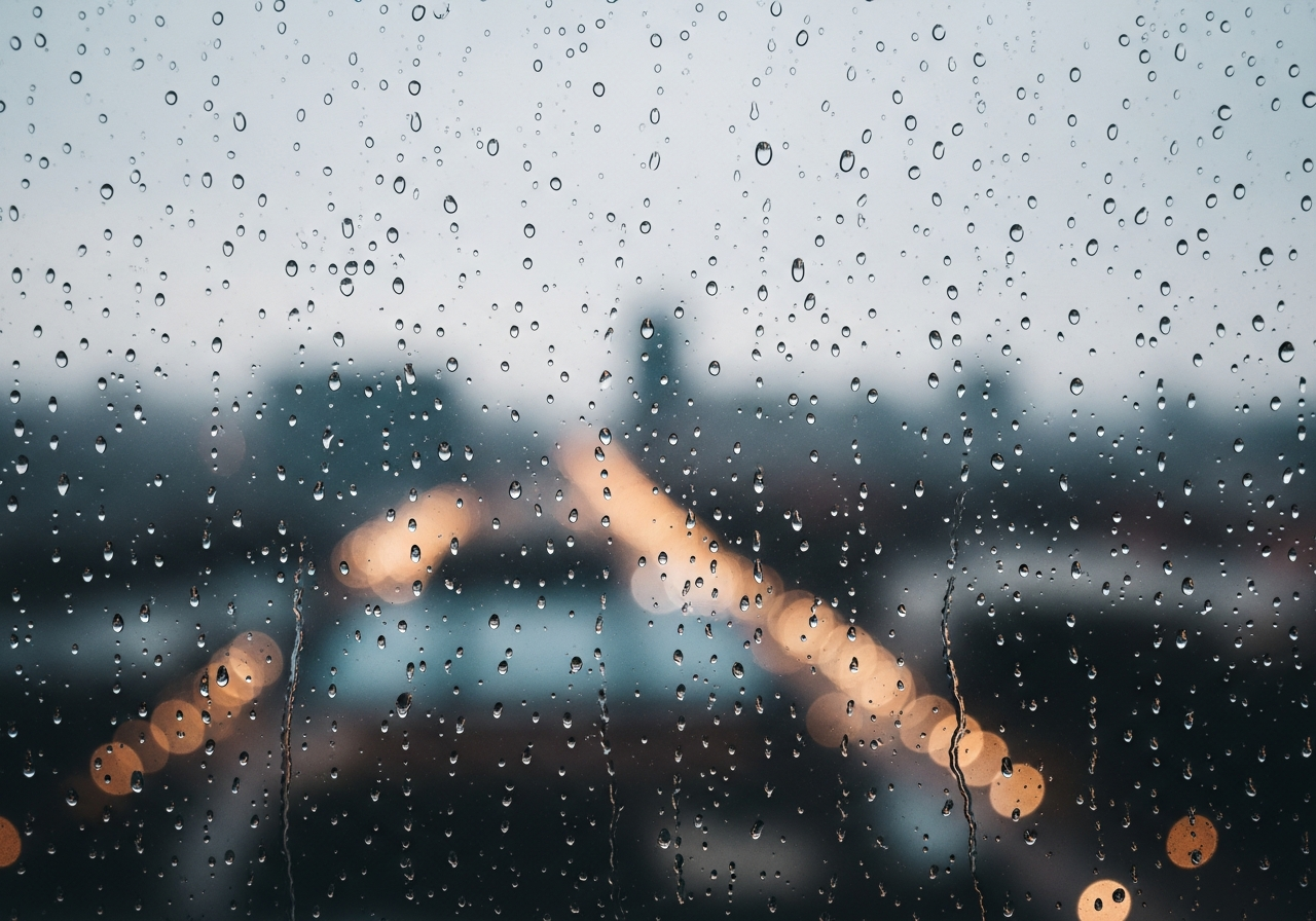 Limpieza de Ventanas